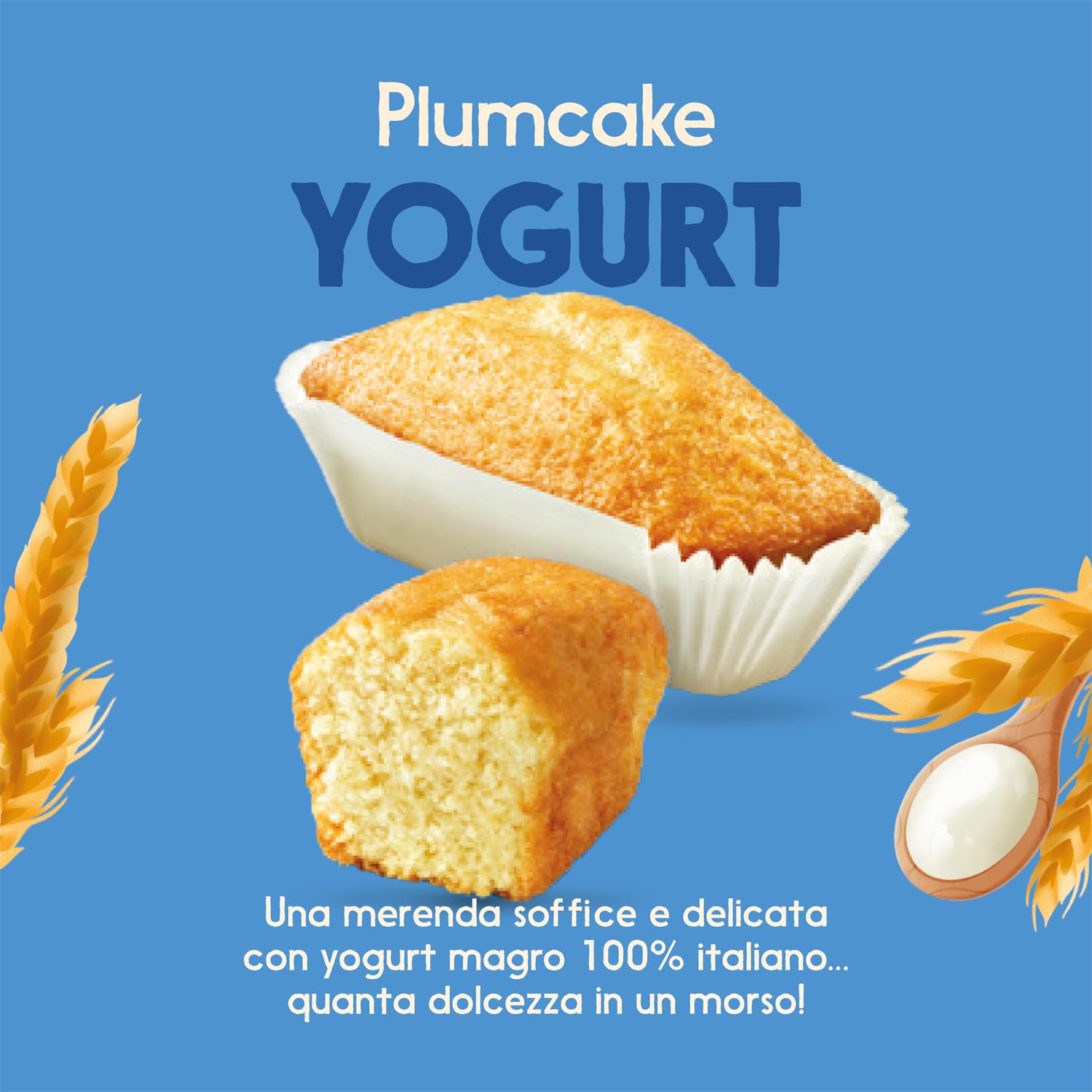 misura-dolcesenza-plumcake-yogurt-senza-zuccheri-aggiunti image 3
