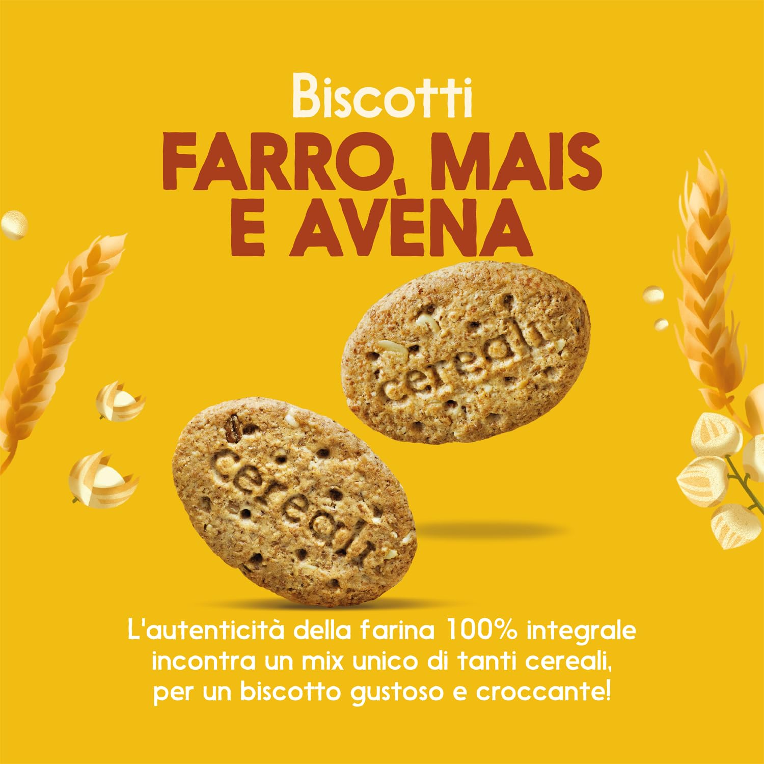 misura-multicereali-biscotti-farro-mais-avena-ricchi-di-fibre image 3