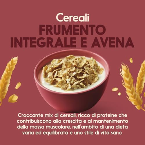 misura-protein-cereali-frumento-integrale-e-avena-320g image 8