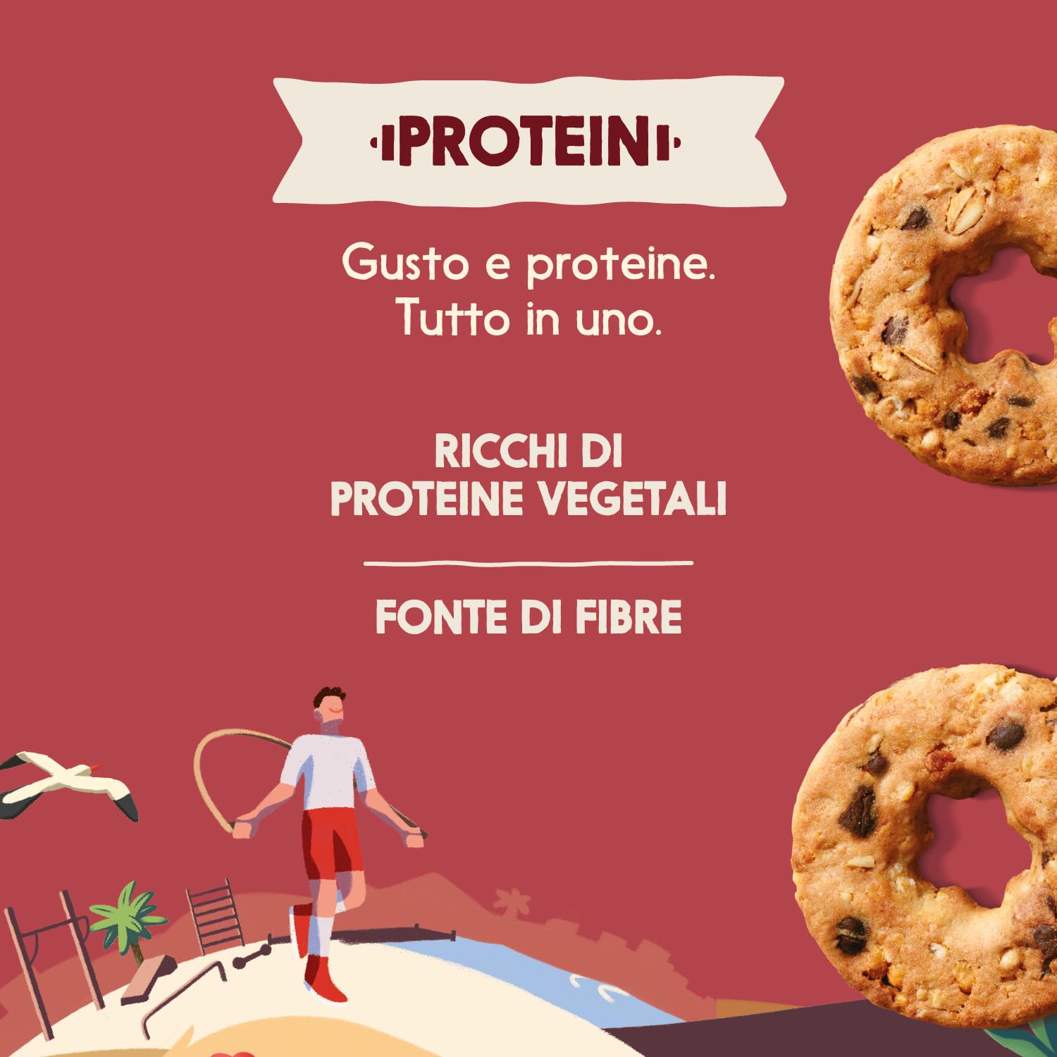 misura-protein-biscotti-cioccolato-e-avena image 4