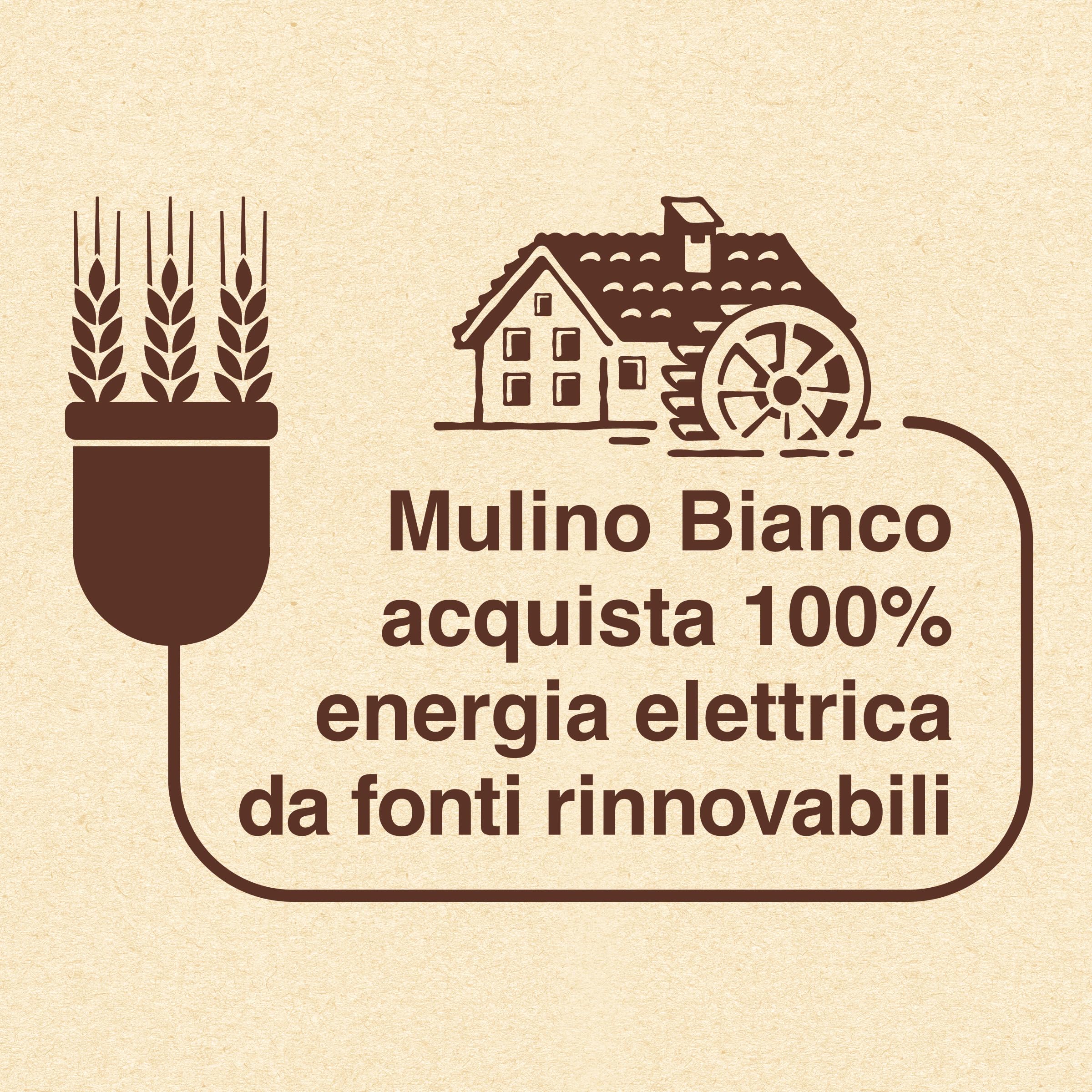 mulino-bianco-pinsa-base-romana-da-condire-230g image 5
